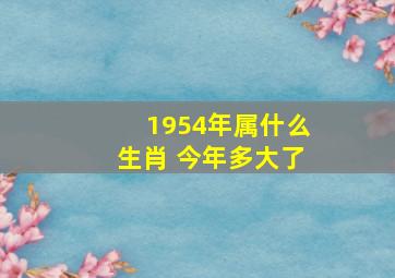 1954年属什么生肖 今年多大了